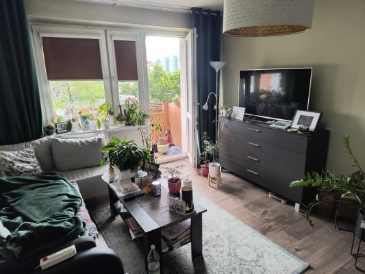 IMG_20250610_183737115_HDR_copy_1024x768