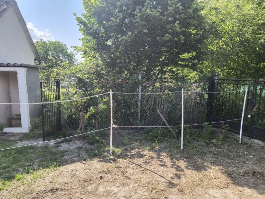 IMG_20250619_161057432_HDR_copy_1024x768