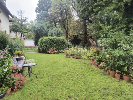 IMG_20250728_122941072_HDR_copy_1024x768