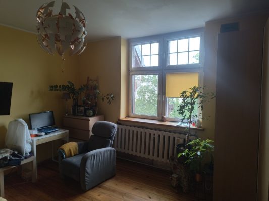 IMG_20250728_123120491_HDR_copy_1024x768