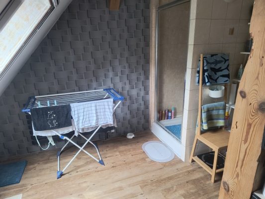 IMG_20250728_123200349_HDR_copy_1024x768