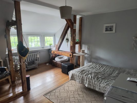 IMG_20250728_123215125_HDR_copy_1024x768