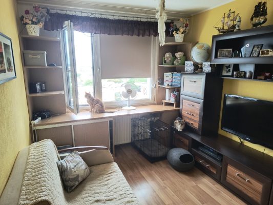 IMG_20250804_075954827_HDR_copy_1280x960